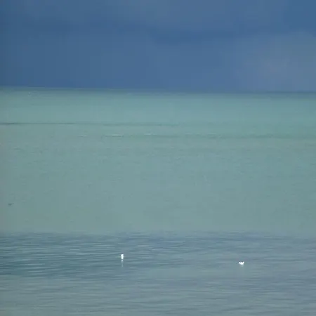 Avant I Port-en-bessin I Sea View Lejlighed *