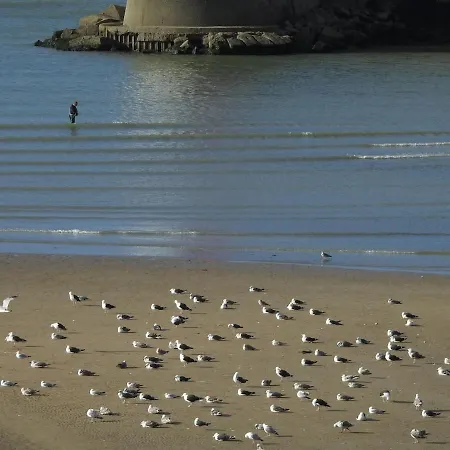 Avant I Port-en-bessin I Sea View Lejlighed