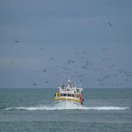 Lejlighed Avant I Port-en-bessin I Sea View *