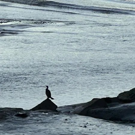 Avant I Port-en-bessin I Sea View Lejlighed